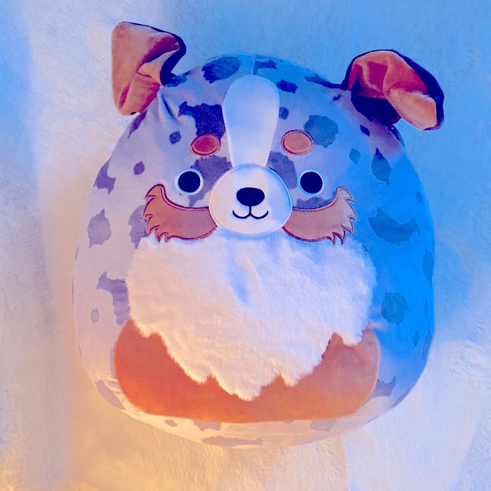 Raylor the Australian shepherd dog Squishmallow